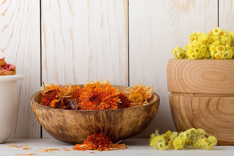 homeopathie-plantes